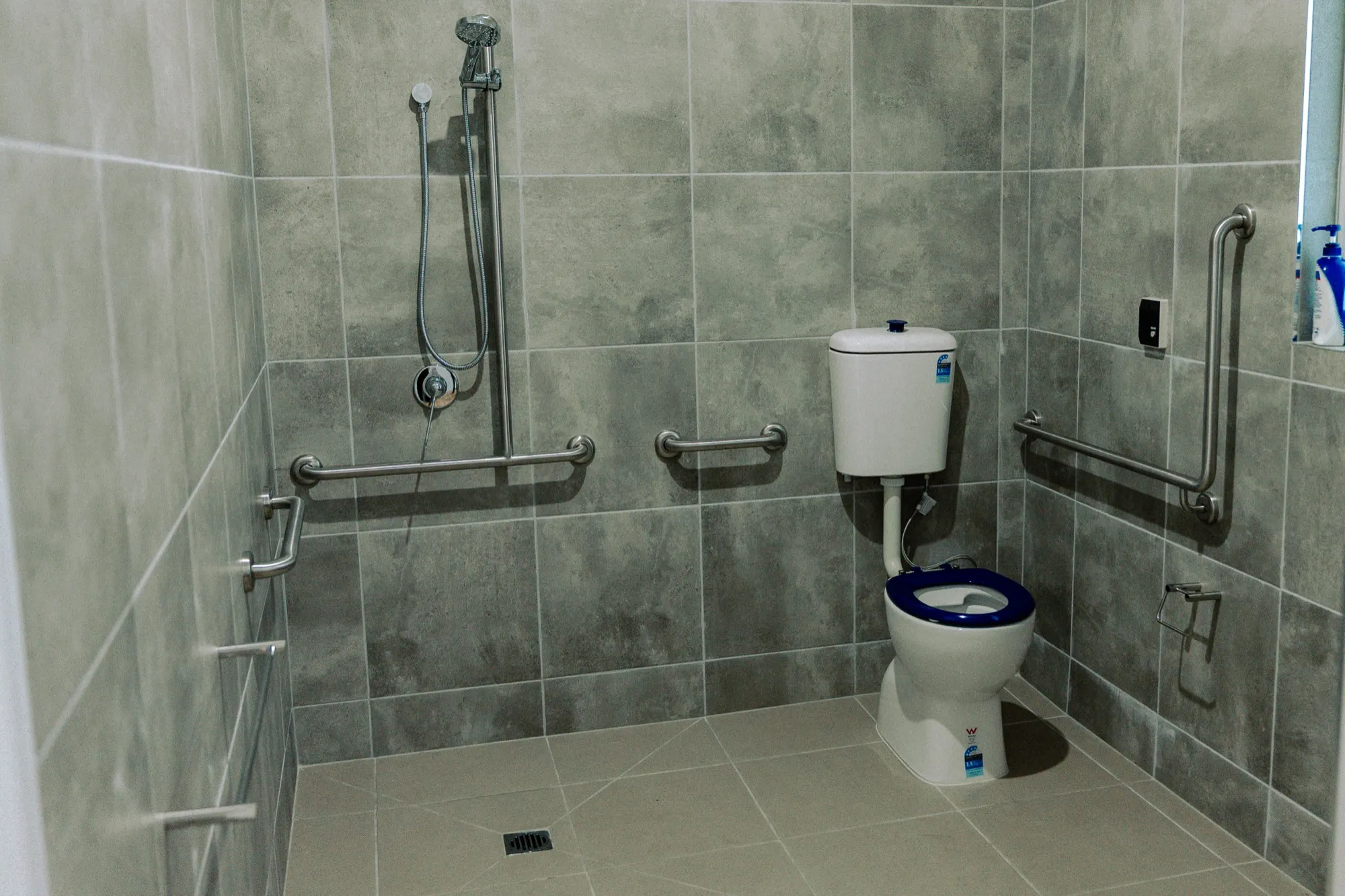 Accessible bathroom with grab rails in a MY DSP home